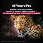 LG OLED65C5ELB 65 Zoll OLED evo 4K AI TV, α9 Gen8, webOS 25, 120 Hz, VRR bis 144 Hz, Modell 2025 – Bild 6